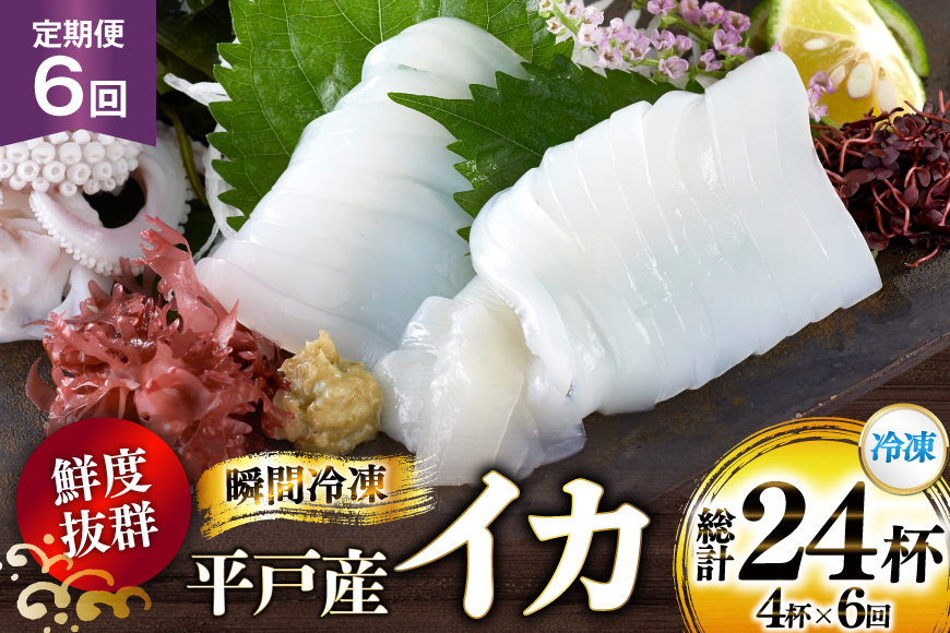 海鮮 魚介 イカ 4杯 1パック（冷凍） 6回 定期便 [舘浦漁業 長崎県 平戸市 hr42bgy420359] おつまみ 新鮮 刺身 瞬間冷凍 冷凍 コリコリ 直送 冷凍 個包装 真空パック