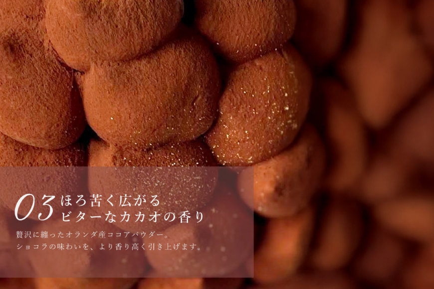 タルト チョコ リッチ チョコ タルト 1ホール 12cm [心優-Cotoyu Sweets- 長崎県 平戸市 hr42bjo490193] チョコレート 濃厚 ずっしり 生チョコ スイーツ ケーキ ご褒美 誕生日