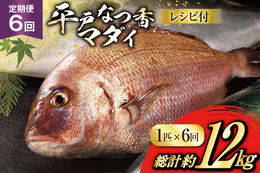 タイ 刺身 平戸なつ香 鯛 丸々 1匹 約2kg 6回 定期便 総計 約12kg [（株）坂野水産 長崎県 平戸市 hr42bgy420441] 魚介 さかな 刺身用 さしみ 冷蔵 おかず フルーツ魚  夏香 鮮魚 海鮮 鍋 海鮮丼 切り身 鍋 tai