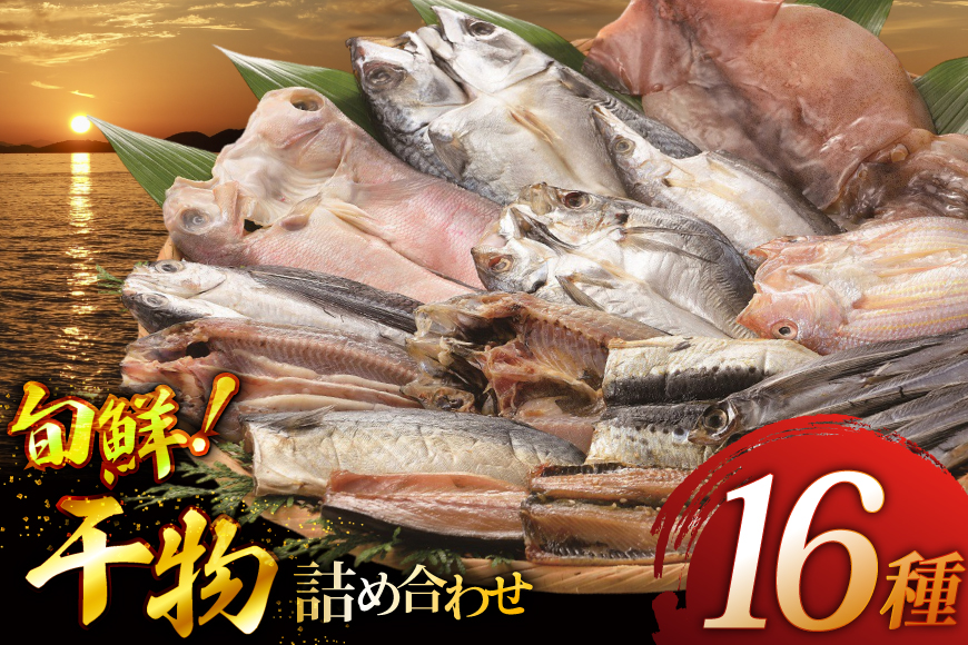 おつまみ イカ 旬魚 平戸 干物 16種 詰め合せ [森崎水産 長崎県 平戸市 hr42bgy410180] いか セット 詰合せ 干物 干物セット 一夜干し いかめし 冷凍 国産 ひもの 魚