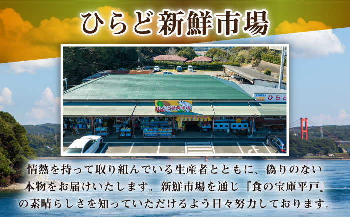 【着日指定 可能】長崎和牛 すき焼き セット（小）平戸市 / ひらど新鮮市場 [KAB226]