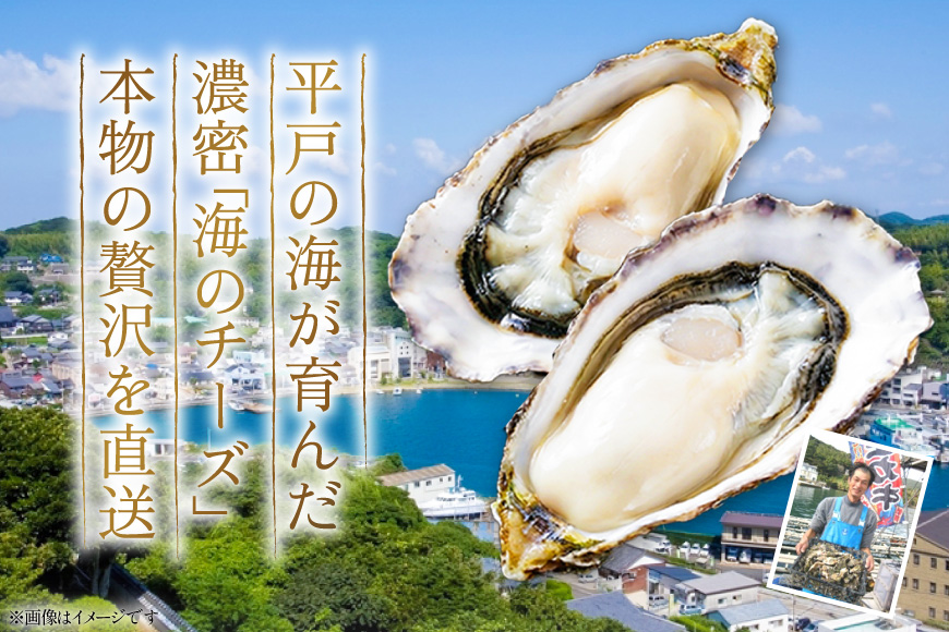【期間限定発送】 殻付き牡蠣 生食可 生牡蠣 約2kg 8〜10個前後 [北川水産 長崎県 平戸市 hr42bgy400230] 牡蠣 岩牡蠣 殻付 かき カキ イワガキ 岩ガキ いわがき