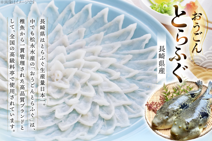 ふぐ 刺身 セット 活〆 おうごんとらふぐ 刺身セット 4人前 12回 定期便 [松永水産 長崎県 平戸市 hr42bgy400166] ふぐ刺し とらふぐ フグ 河豚 てっさ 魚介 さかな お刺身 刺身用 さしみ 冷凍 湯引き 海鮮 切り身