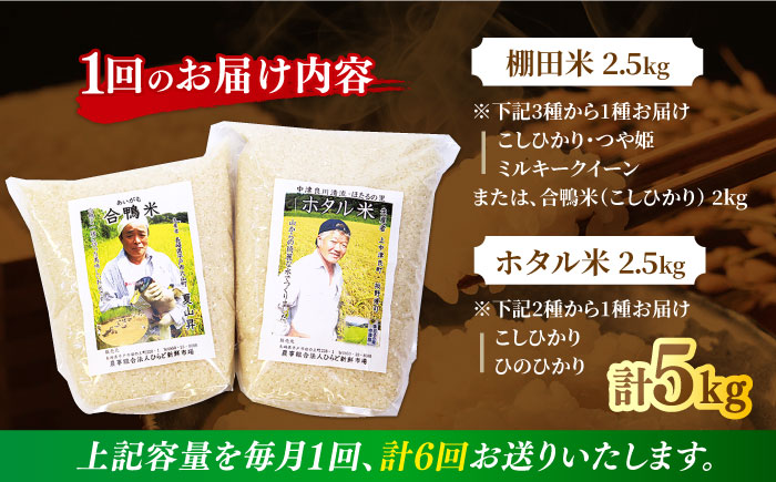 【全6回定期便】【着日指定 可能】【違いを楽しむ】こだわりの米食べ比べセット 約5kg（2.5kg×2種） 平戸市 / ひらど新鮮市場 [KAB241]