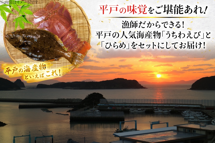 ひらめ 海老 刺盛セット ひらめ うちわ海老 刺盛セット  約160g×6回 計960g 【全6回定期便】 [平戸さくら水産 長崎県 平戸市 hr42bgy420169] 魚介 さかな えび ヒラメ 海鮮 