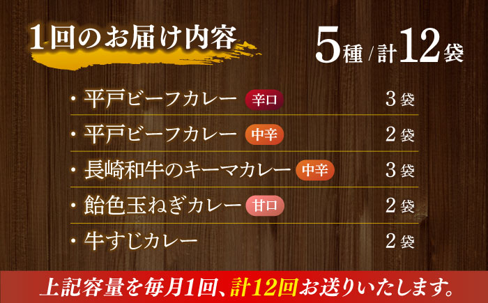 【全12回定期便】【カレー好きのためのアソートセット】カレー工房NVfoodsのカレー5種（12袋）詰め合わせセット [KAB290]