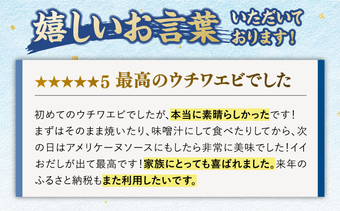 2-3人前 ウチワエビ 800g (5-8尾)【ひばり】[KAA057]/ 長崎 平戸 魚介類 海老 エビ ウチワエビ 季節限定 ご当地 グルメ