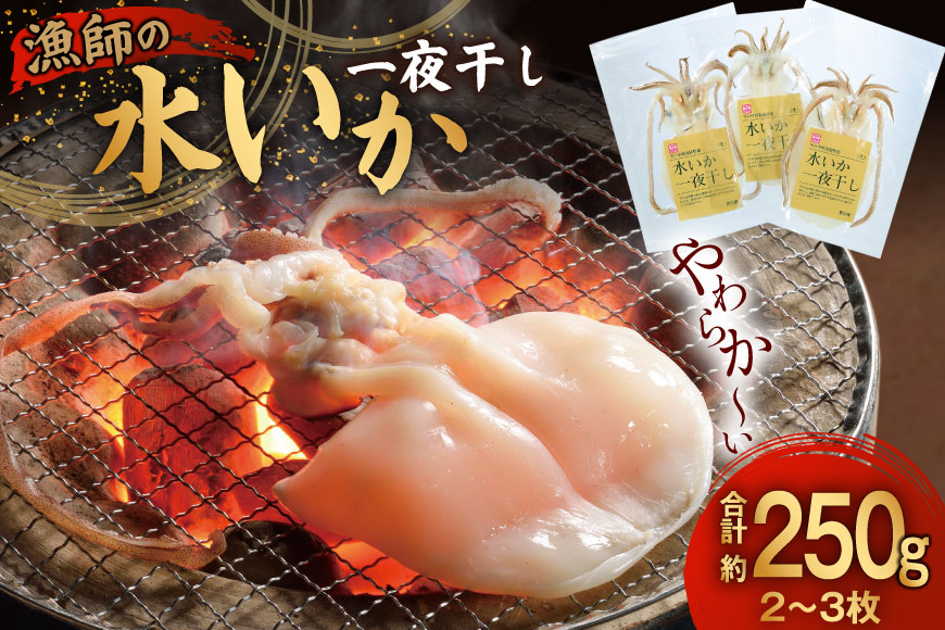 いか 一夜干し 干物  漁師の水烏賊一夜干し 2〜3枚 約250g  [中野漁業 長崎県 平戸市 hr42bgy400067] イカ 乾物 水いか 冷凍