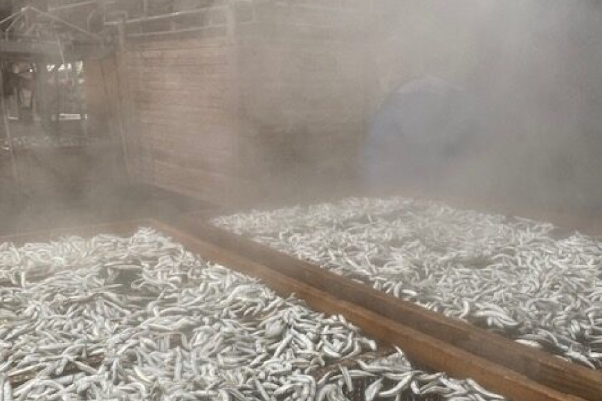 だし いりこ あご 無添加 いりこ あご 贅沢 セット [末弘丸 長崎県 平戸市 hr42bgy420183] だし 出汁 イリコ アゴ あごだし 焼あご 飛魚 ギフト