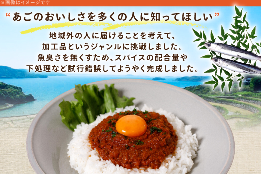 カレー レトルト あごのみキーマ 180g 2袋 計360g セット 辛口 [平戸観光協会 長崎県 平戸市 hr42bgy390095] キーマ 魚 あご 飛魚 時短 ヘルシー 常温 小分け 便利