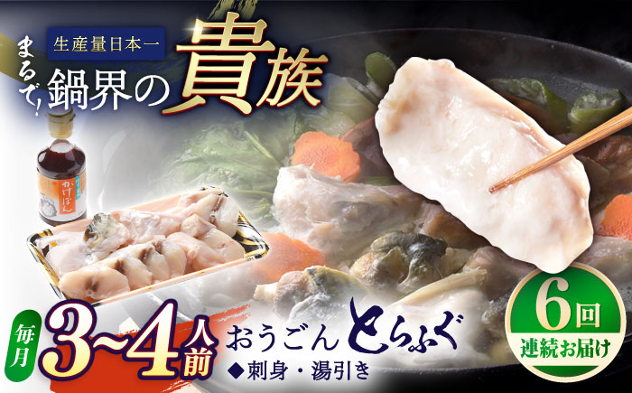 【全6回定期便】【着日指定 可能】活〆おうごんとらふぐ 鍋 セット 約400g 平戸市 / 松永水産 [KAB271]