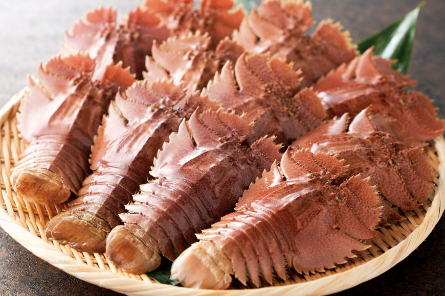 魚 まぐろ ひらめ えび イカ 平戸逸品 四季の彩り海物語 6回 定期便 [平戸さくら水産 長崎県 平戸市 hr42bgy420405] 赤身 大トロ 中トロ みそ ウチワエビ いか 干物 漬け