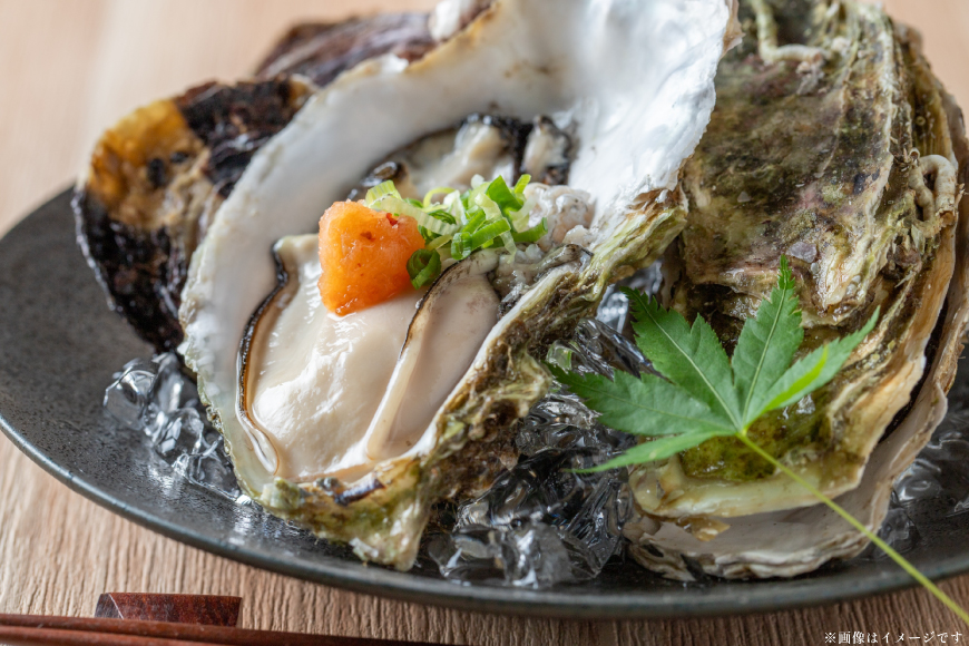 【期間限定発送】 殻付き牡蠣 生食可 生牡蠣 約2kg 8〜10個前後 [北川水産 長崎県 平戸市 hr42bgy400230] 牡蠣 岩牡蠣 殻付 かき カキ イワガキ 岩ガキ いわがき