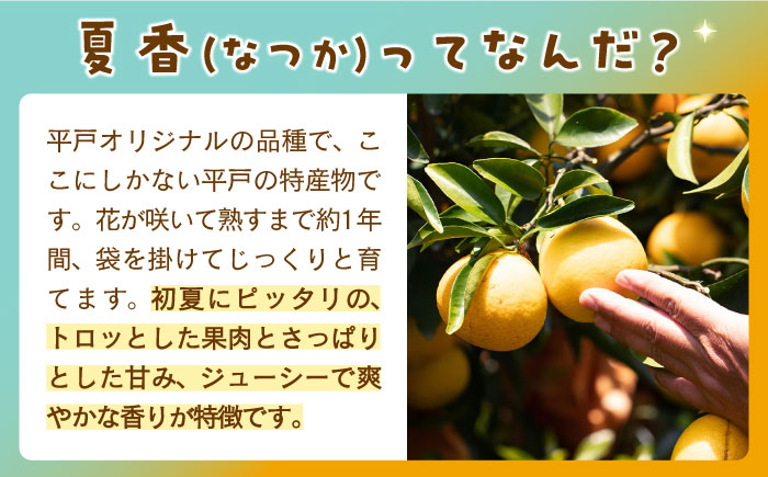 【全6回定期便】【自家栽培の柑橘のみを使用】みかん ジュース 3本 セット【善果園】 [KAA525]