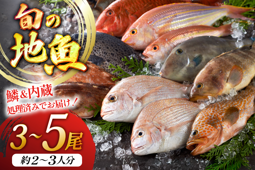 魚 地魚 詰め合わせ 3〜5尾 [平戸瀬戸市場 長崎県 平戸市 hr42bgy420531] 下処理済み 鮮魚 セット 朝獲れ 旬 海鮮 新鮮 海の幸 獲れたて