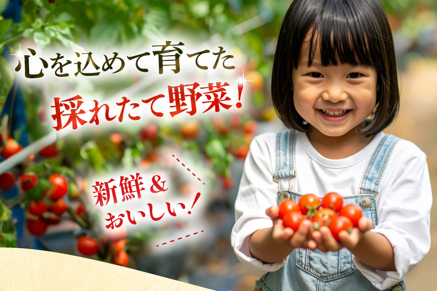 野菜 果物 セット 安心の地元野菜と果物のお任せセット 定期便 12回 [ひらど新鮮市場 長崎県 平戸市 hr42bgy400146] フルーツ 定期 12ヶ月 野菜セット 果物セット キャベツ、アスパラガス 胡瓜 ナス 大根 かぶ ミニトマト 玉ねぎ いちご メロン ミニトマト 白菜 れんこん みかん