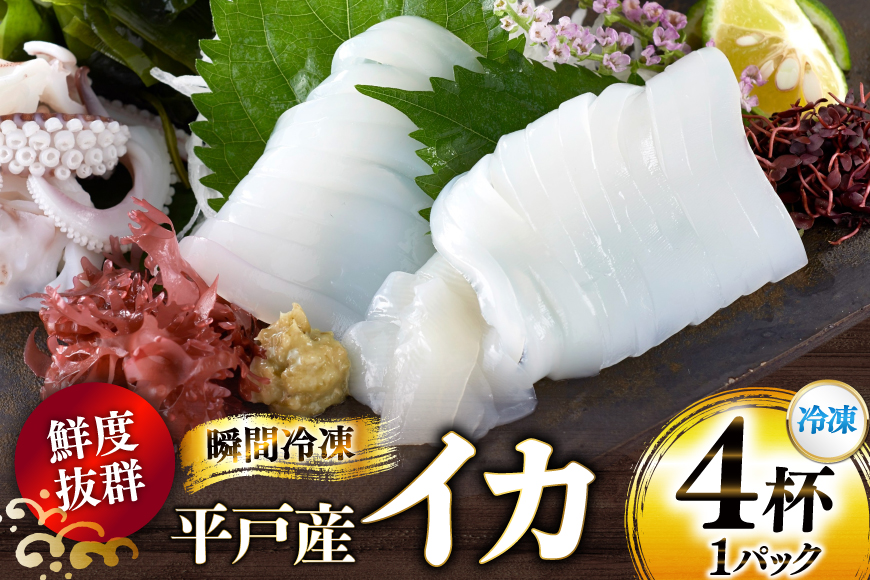 海鮮 魚介 イカ 4杯 1パック（冷凍） [舘浦漁業 長崎県 平戸市 hr42bgy420424] 新鮮 刺身 瞬間冷凍 冷凍 コリコリ 直送 冷凍 個包装 真空パック