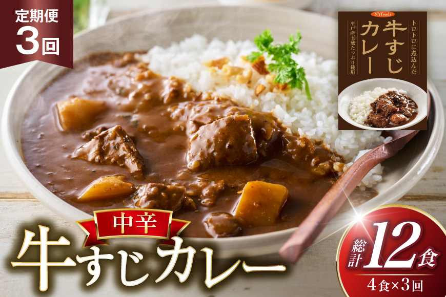 カレー セット 牛 すじ カレー 4食 セット 中辛 3回 定期便 [カレー工房NVfoods 長崎県 平戸市 hr42bgy400036] カレー スパイス レトルト セット