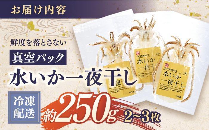 【全3回定期便】【着日指定 可能】【身が厚く柔らかい】漁師の水烏賊一夜干し 約250g（2〜3枚） 平戸市 / 中野漁業協同組合 [KAB243]