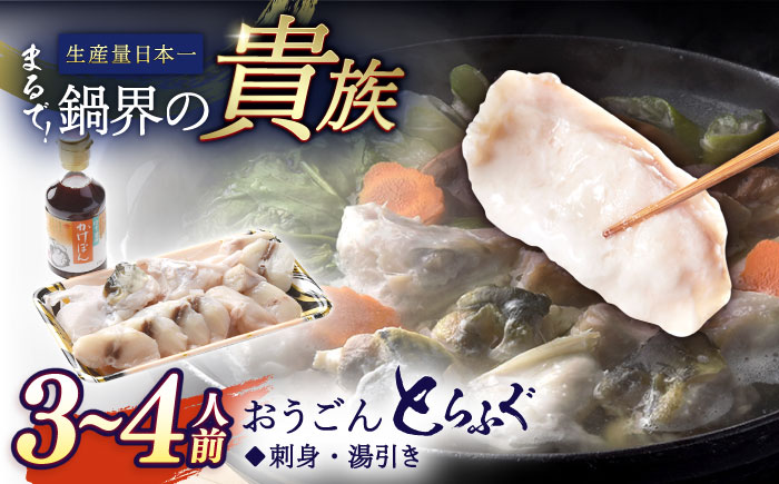 活〆おうごんとらふぐ鍋セット約400g[(有)松永水産][KAB113]/ 長崎 平戸 魚介類 魚 鍋 とらふぐ ふぐ ポン酢
