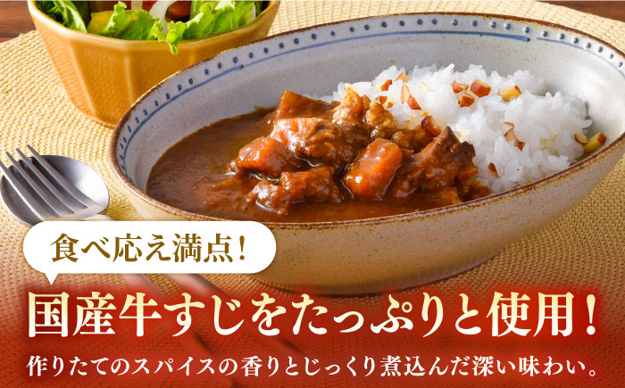 【全6回定期便】【着日指定 可能】【とろっとろになるまで煮込んだ】牛すじカレー 4食セット（中辛） 平戸市 / カレー工房 NVfoods [KAB265]