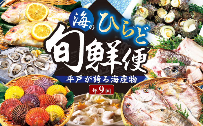 【9回定期便】平戸を満喫！海のひらど旬鮮便【株式会社ひらど新鮮市場】[KAB115]