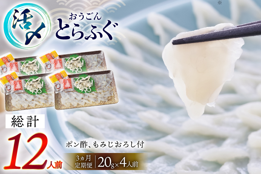 ふぐ 刺身 セット 活〆 おうごんとらふぐ 刺身セット 4人前 3回 定期便 [松永水産 長崎県 平戸市 hr42bgy400164] ふぐ刺し とらふぐ フグ 河豚 てっさ 魚介 さかな お刺身 刺身用 さしみ 冷凍 湯引き 海鮮 切り身