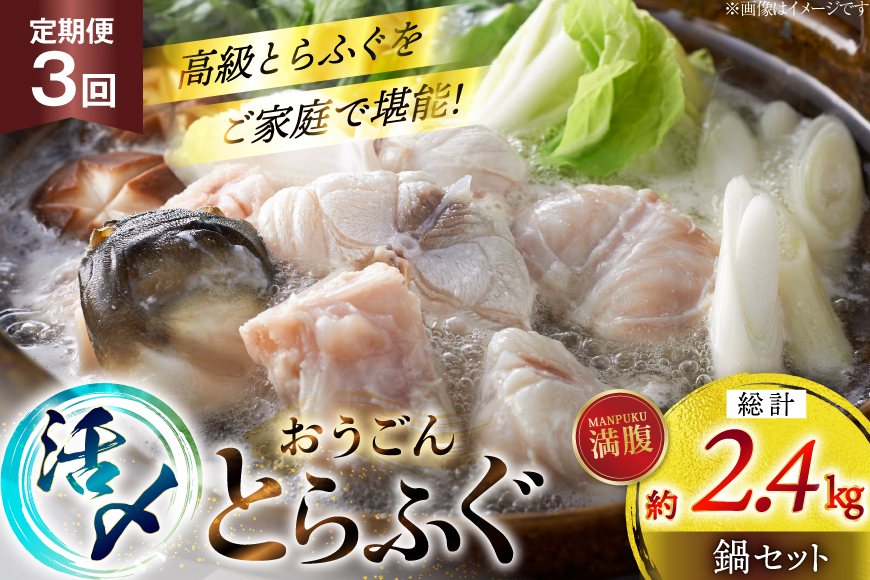 ふぐ 鍋 セット 活〆 おうごんとらふぐ 満腹 鍋セット 約800g 3回 定期便 総計 約2.4kg [松永水産 長崎県 平戸市 hr42bgy400187] とらふぐ フグ 河豚 てっちり ふぐちり ふぐ料理 魚介 さかな 切り身 冷凍 海鮮 ふぐ鍋 唐揚げ