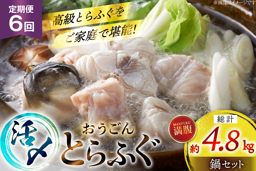 ふぐ 鍋 セット 活〆 おうごんとらふぐ 満腹 鍋セット 約800g 6回 定期便 総計 約4.8kg [松永水産 長崎県 平戸市 hr42bgy400188] とらふぐ フグ 河豚 てっちり ふぐちり ふぐ料理 魚介 さかな 切り身 冷凍 海鮮 ふぐ鍋 唐揚げ