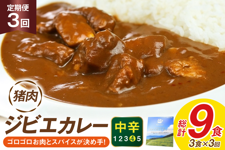 カレー スパイス 平戸 イノシシ カレー 3食 セット 3回 定期便 総計 9食 [平戸ファクトリー 長崎県 平戸市 hr42bgy400169] カレーライス ライス レトルト 本格 いのしし 猪 シシ ジビエ 猪肉
