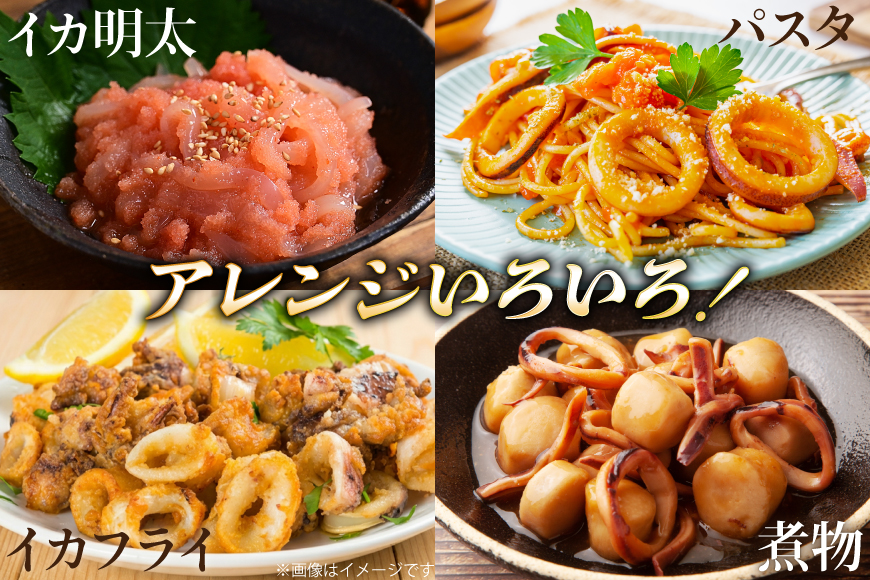 イカ 刺身 極鮮ヤリイカ 約500g [海隆丸 長崎県 平戸市 hr42bvk550000] ヤリイカ 新鮮 海鮮 魚介 瞬間冷凍 冷凍 コリコリ 直送 冷凍 個包装 真空パック