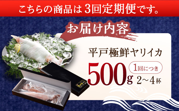 【3回定期便】極鮮ヤリイカ 約500g【海隆丸】[KAB178]/ 長崎 平戸 魚介類 イカ いか ヤリイカ 真空パック 小分け 贈物 贈答 プレゼント 定期便