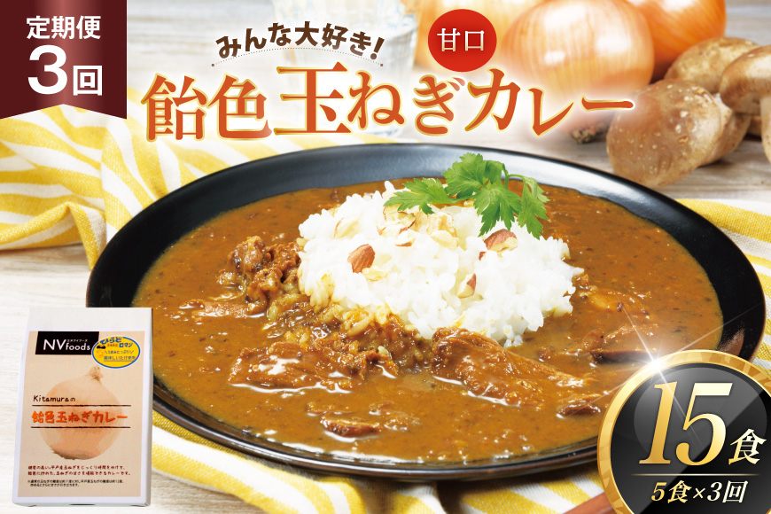 カレー セット 玉ねぎ カレー 5食 セット 甘口 3回 定期便 [カレー工房NVfoods 長崎県 平戸市 hr42bgy400064] カレー スパイス レトルト セット