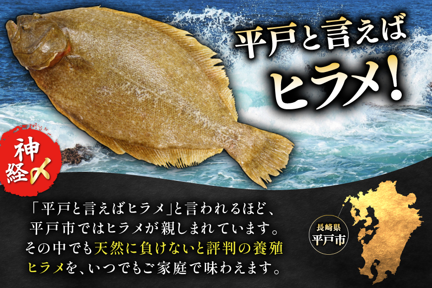 刺身 神経〆平戸ひらめ 80g 2パック 合計 160g [イワミ水産 長崎県 平戸市 hr42bgy400104] ヒラメ 白身魚 養殖 刺盛り 陸上養殖 産地直送