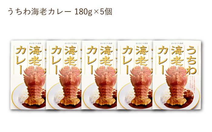 【時間指定 可能】【出汁も身もうちわ海老！！】絶品  うちわ海老カレー（5食セット） [KAA206]