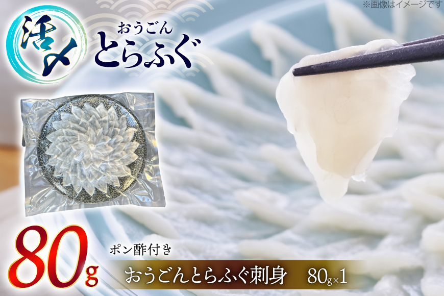 ふぐ 刺身 おうごんとらふぐ 大皿 刺身 80g [松永水産 長崎県 平戸市 hr42bgy400119] ふぐ刺し とらふぐ フグ 河豚 てっさ 魚介 さかな お刺身 刺身用 さしみ 冷凍 海鮮 高級魚