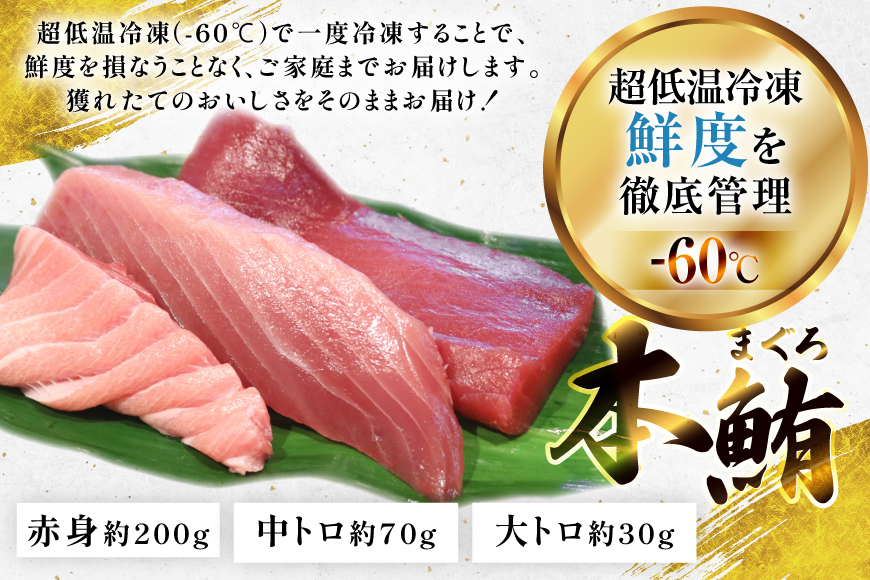 マグロ 切り身 極海一番 3種 セット 計300g 食べ比べ 詰め合わせ [囲炉裏料理エビス亭 長崎県 平戸市 hr42bgy390056] まぐろ 刺身 料亭 赤身 中とろ 大トロ 柵 おつまみ 冷凍 高級 寿司 すし