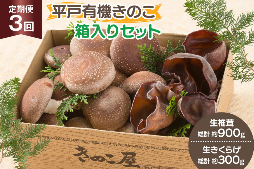 きのこ しいたけ きくらげ 生椎茸 生きくらげ 箱入りセット 3回 定期便 [きのこ屋 長崎県 平戸市 hr42bgy410164] 有機 有機JAS 有機栽培 有機きのこ 有機しいたけ 箱入り ギフト セット