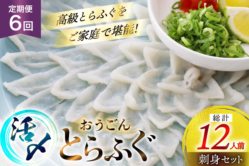 ふぐ 刺身 セット 活〆 おうごんとらふぐ 刺身セット 2人前 6回 定期便 [松永水産 長崎県 平戸市 hr42bgy400069] ふぐ刺し とらふぐ フグ 河豚 てっさ 魚介 さかな お刺身 刺身用 さしみ 冷凍 湯引き 海鮮 切り身