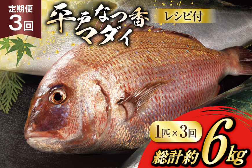 タイ 刺身 平戸なつ香 鯛 丸々 1匹 約2kg 3回 定期便 総計 約6kg [（株）坂野水産 長崎県 平戸市 hr42bgy420456] 魚介 さかな 刺身用 さしみ 冷蔵 おかず フルーツ魚  夏香 鮮魚 海鮮 鍋 海鮮丼 切り身 鍋 tai