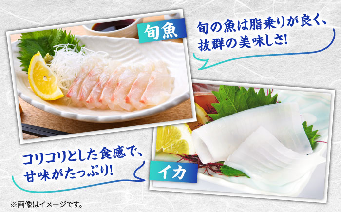 【漁協直送！】獲れたて旬魚の柵2種セット（刺身1種&イカ1種）（2〜3人前）【舘浦漁業協同組合】 [KAA633]