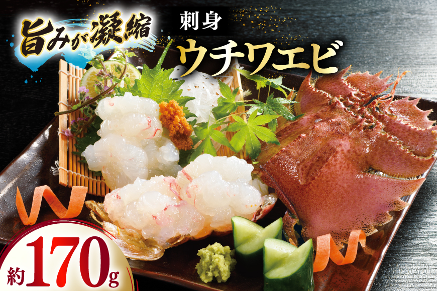うちわえび エビ 海老 国産 刺し身 冷凍 ウチワエビ 刺身 約170g (ポン酢付) [ひばり 長崎県 平戸市 hr42bgy420060] 魚介 海鮮 海産物 セット 真空 真空パック お取り寄せ