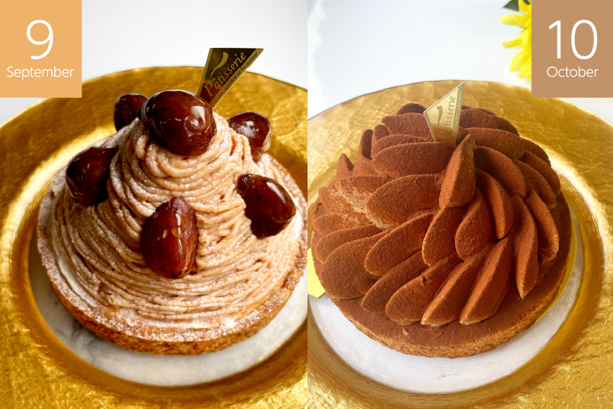 スイーツ 大人のスイーツ 定期便 6回 [心優-Cotoyu Sweets- 長崎県 平戸市 hr42bjo490079] ケーキ タルト 食べ比べ 果物 フルーツ いちご モンブラン ティラミス チョコ ホールケーキ 誕生日