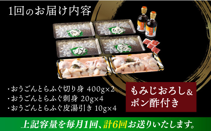 【全6回定期便】【着日指定 可能】活〆おうごんとらふぐ プレミアムセット（4人前）平戸市 / 松永水産 [KAB274]