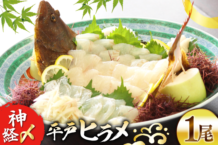 ヒラメ 神経〆平戸ひらめ 1尾 1 〜 1.5kg 内臓処理済 [イワミ水産 長崎県 平戸市 hr42bgy400107] ヒラメ 白身魚 陸上養殖 産地直送 刺身 刺盛り フライ 漬け