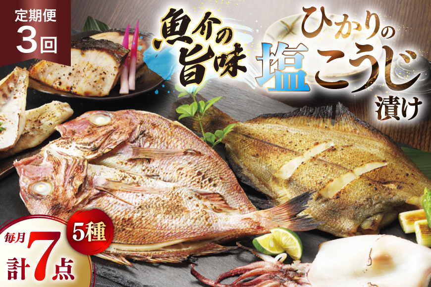 漬け魚 漬魚 塩麹 塩こうじ 魚介 詰め合わせ 3回 定期便 ひかりの塩麹 5種 セット [ひかり 長崎県 平戸市 hr42bgy420401] お茶漬け 焼き魚 焼魚 鯛 鯛めし ヤリイカ 海鮮 漬け づけ 漬け丼 鮮魚 お取り寄せ ギフト 魚 切り身 冷凍 真空 真空パック 個包装 小分け お取り寄せ