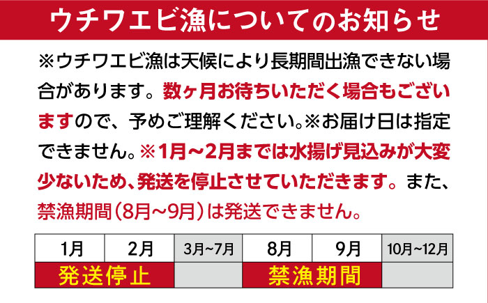 2-3人前 ウチワエビ 800g (5-8尾)【ひばり】[KAA057]/ 長崎 平戸 魚介類 海老 エビ ウチワエビ 季節限定 ご当地 グルメ