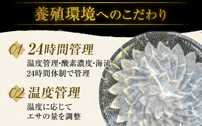 【先行予約】１月中旬発送開始 高級とらふぐをご家庭で！おうごんとらふぐ大皿刺身 合計80g【松永水産】 [KAB224]