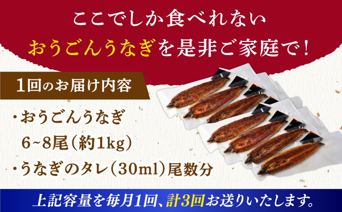 【全3回定期便】【着日指定 可能】【日本初！海水で養殖】長崎県産おうごん うなぎ 松セット 約1kg（6尾〜8尾） 平戸市 / 松永水産 うなぎ 鰻 ウナギ 土用丑の日 九州産 蒲焼 かばやき [KAB285]