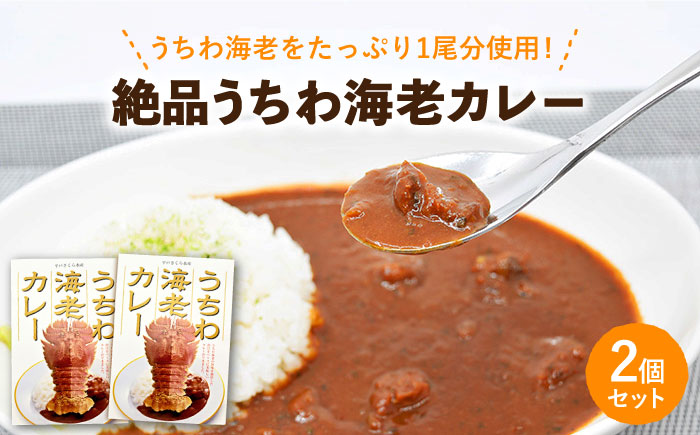 【時間指定 可能】【出汁も身もうちわ海老！！】絶品 うちわ海老カレー（2食セット） [KAA205]